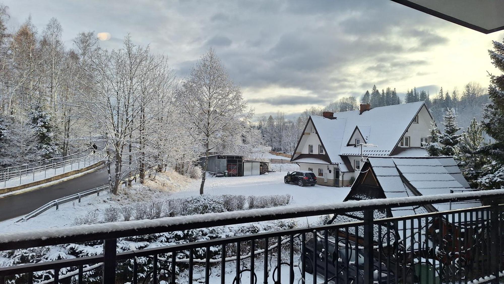 Willa U Kosle 2 Zakopane Bagian luar foto
