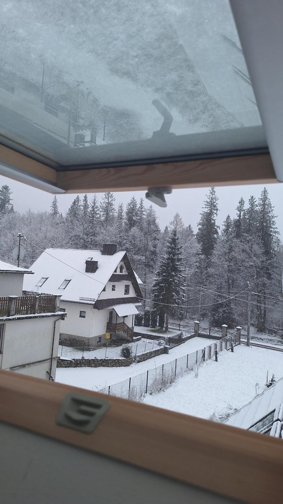 Willa U Kosle 2 Zakopane Bagian luar foto