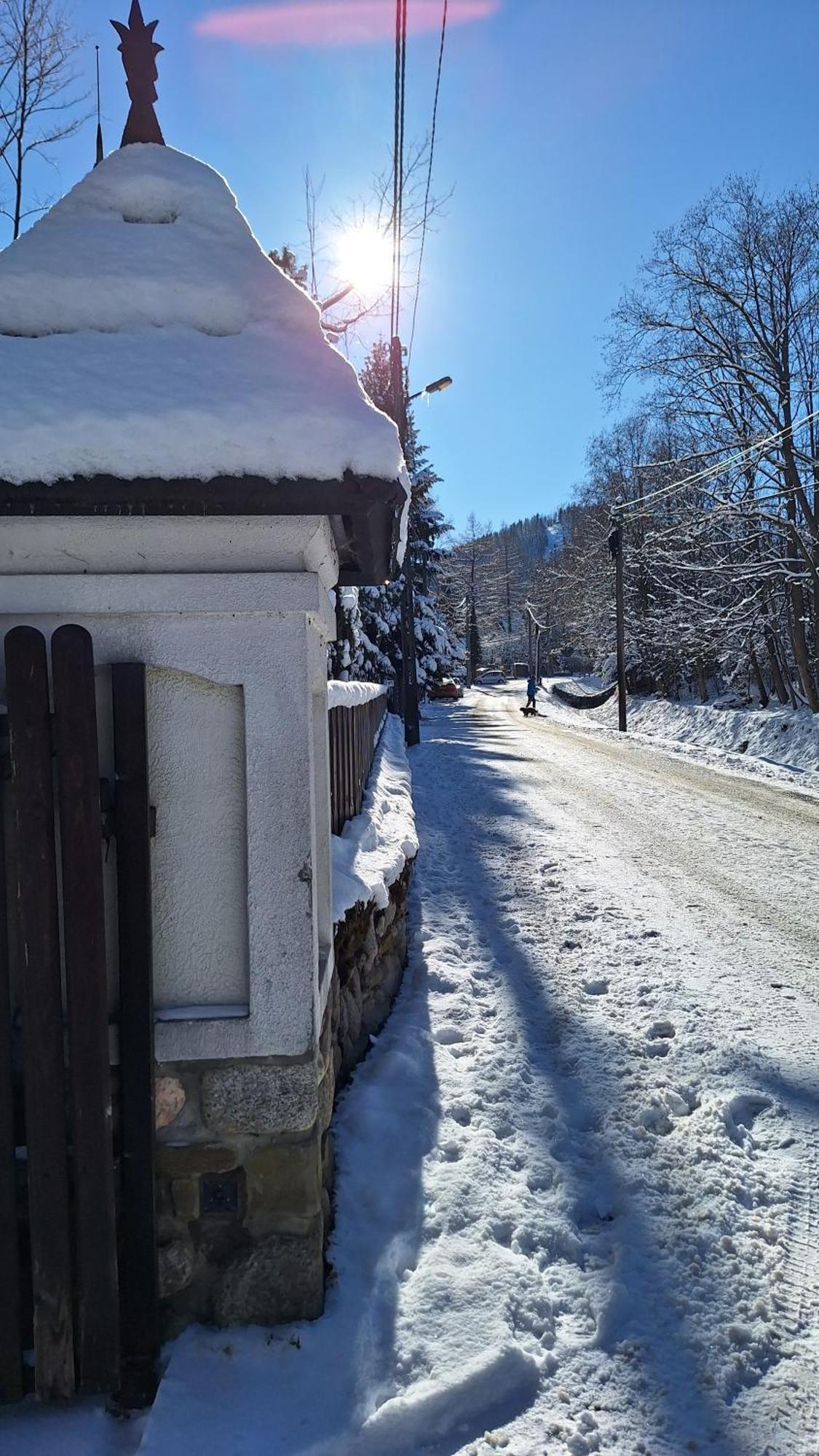 Willa U Kosle 2 Zakopane Bagian luar foto